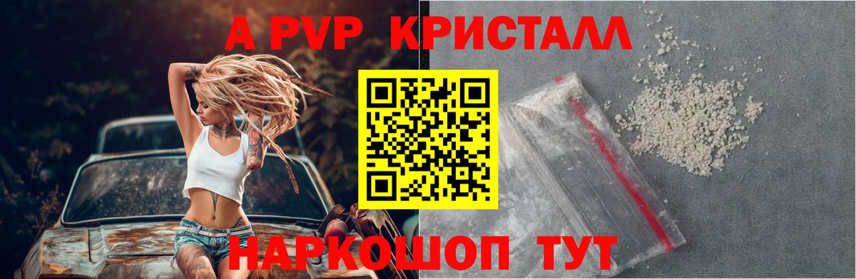 Alfa_PVP СК КРИС  Вход с VPN  Alfa_PVP крисы CK  А ПВП мука  Камышлов 