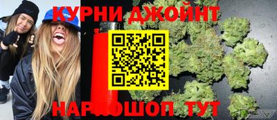 гидра Краснодар