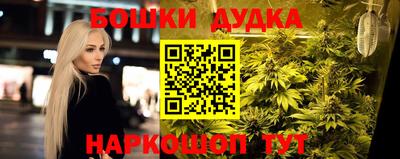 гидра Краснодар