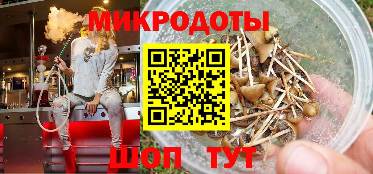 как найти   Галлюциногенные грибы Magic Shrooms  Вход с VPN  Камышлов 